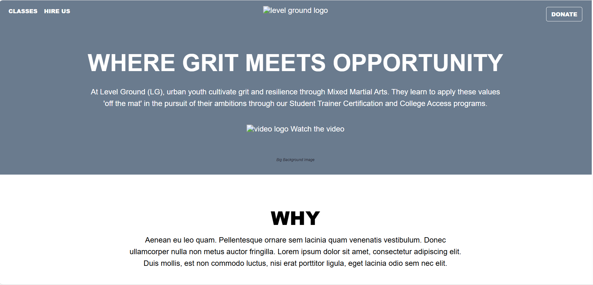 level ground screenshot